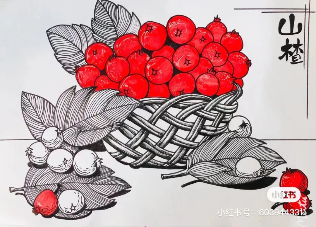 针管笔画线条练习,针管笔黑白装饰画线描