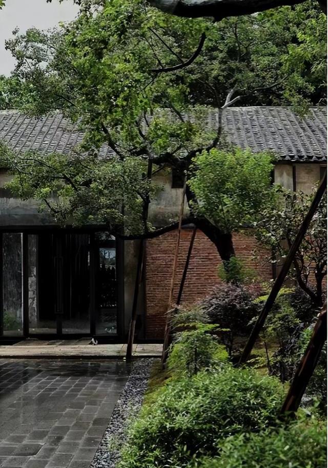 逛美食之都顺德,顺德又可以玩又可以吃的地方