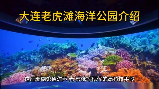 大连老虎滩海洋公园极地馆,大连老虎滩海洋公园老年票