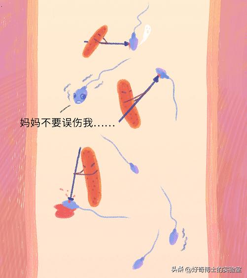 精子进入人体1小时变化,精子进入人体24小时变化