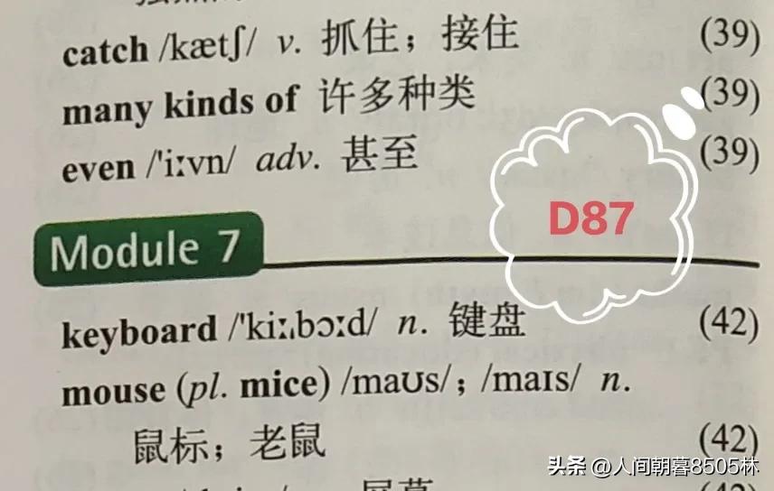 外研社英语七上必背单词,外研版七上英语单词速记