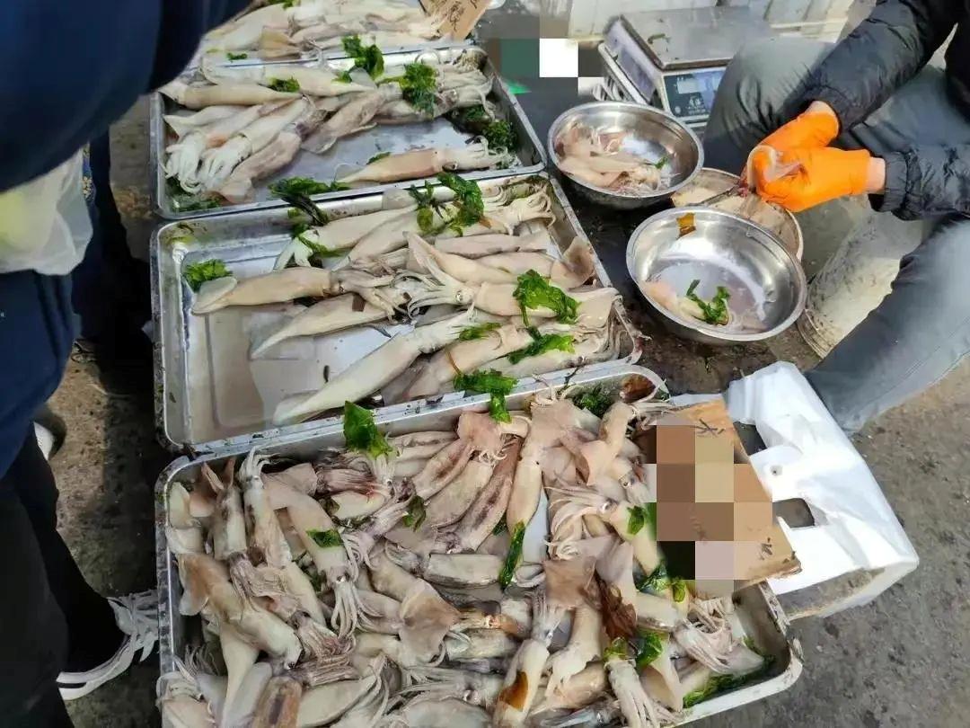 警惕市场上买的这种海鲜危害极大,海鲜黑幕