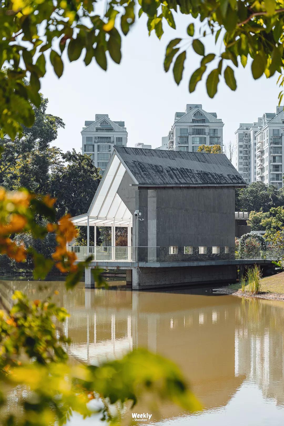 真羡慕那些住高档小区的人,真羡慕住在海边的人