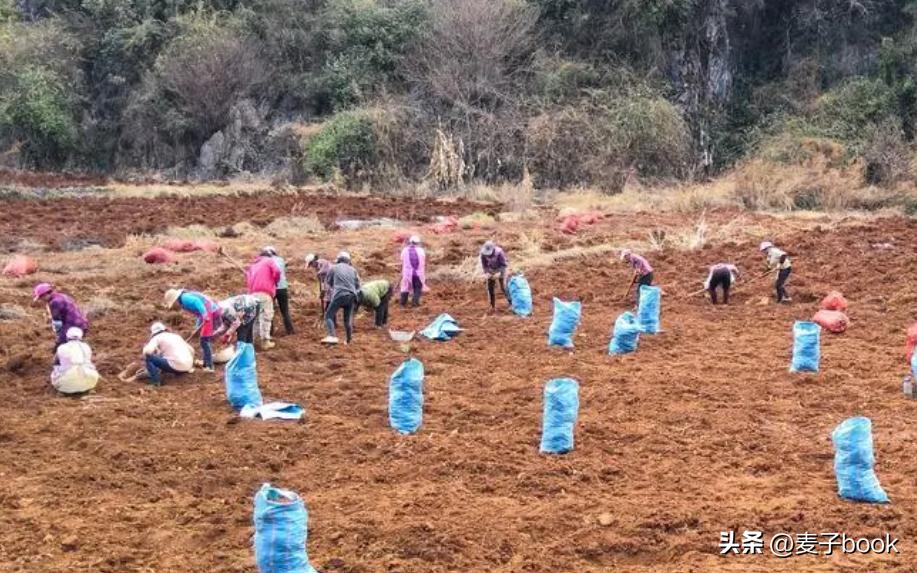 打败餐饮行业的中医馆,打败餐饮的中医