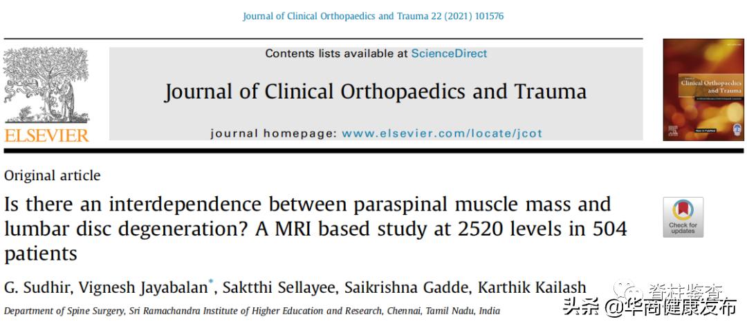 如何锻炼腰部力量改善腰痛问题,如何锻炼腰部力量改善腰痛图