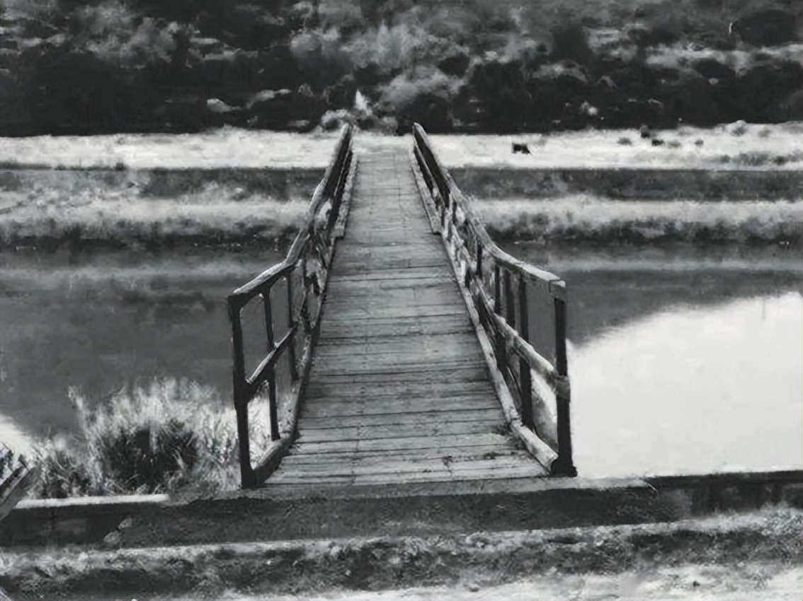 香港罗湖关口也封关了吗,香港罗湖口岸封关吗