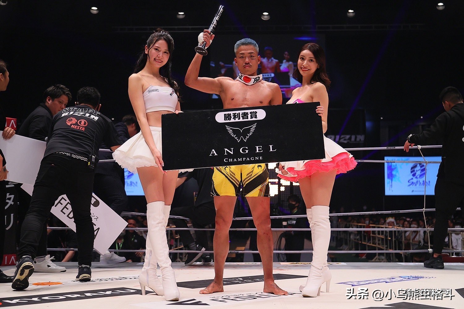 周巡格斗能力,格斗周对阵表