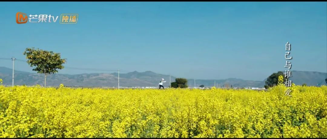 一起去有风的地方夏天,一起去有风有海的地方