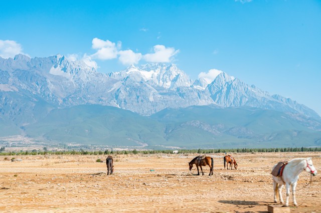 云南丽江值得去的景点攻略怎么玩,云南丽江旅游攻略必去景点顺序