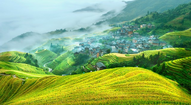 广西桂林旅游攻略推荐,桂林旅游攻略广西旅游攻略