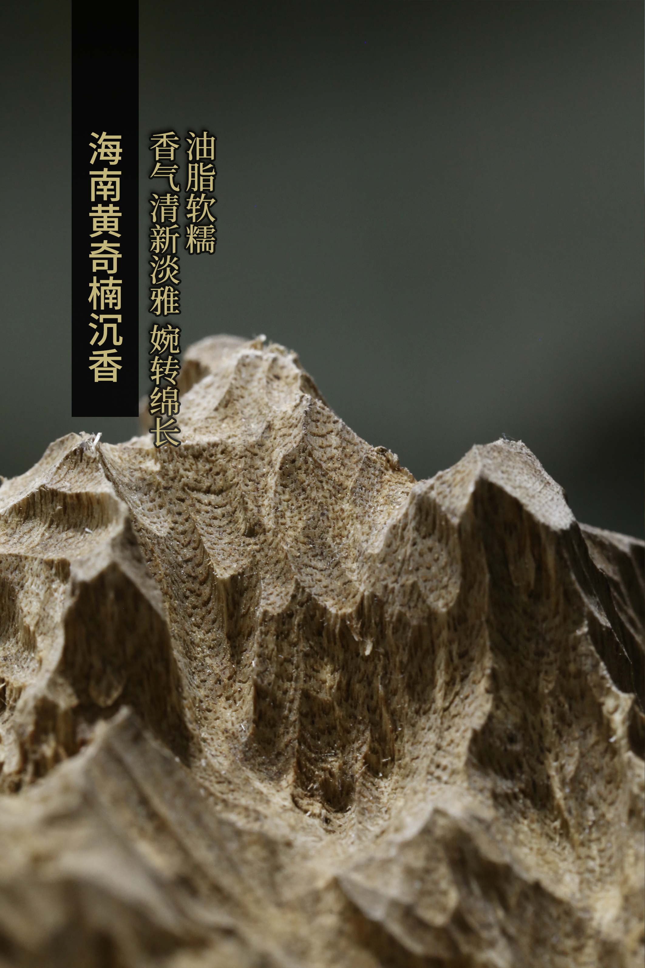 越南黑奇楠沉香微距,奇楠沉香的收藏方法