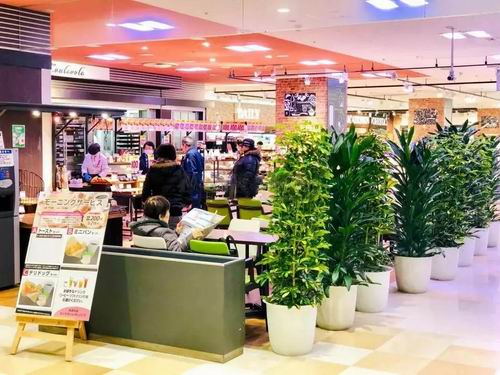 居家适老化改造有哪些项目,购物中心运营设计思路