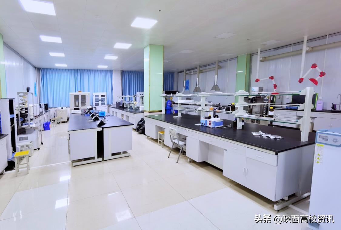 我承认我酸了,我承认我酸了合集