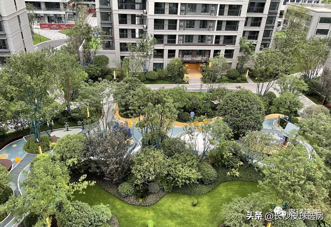 长沙招商滨江境优缺点,长沙招商蛇口的楼盘怎么样
