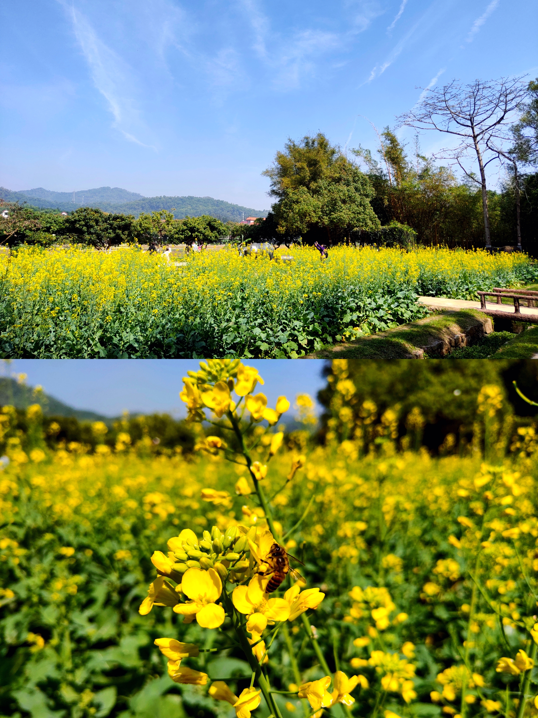 中山2天1夜旅游攻略,中山两日游感受