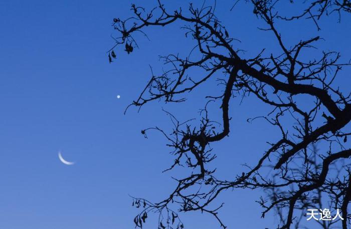 音质好的蓝牙音箱极简生活,比较好的多功能蓝牙音箱