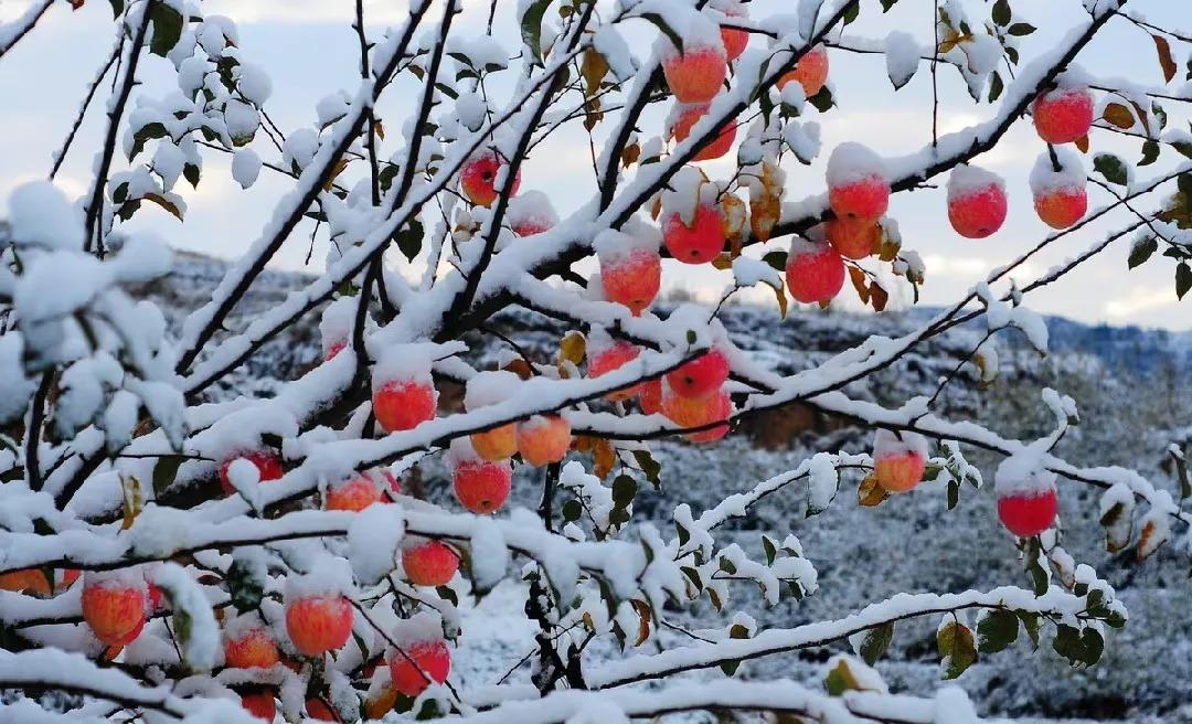 哺乳期妇女用药禁忌,哺乳期妇女用药时间