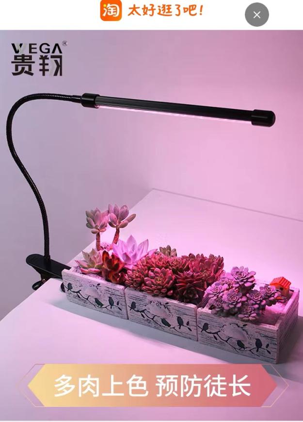 隔离期间囤货清单,疫情隔离囤货攻略