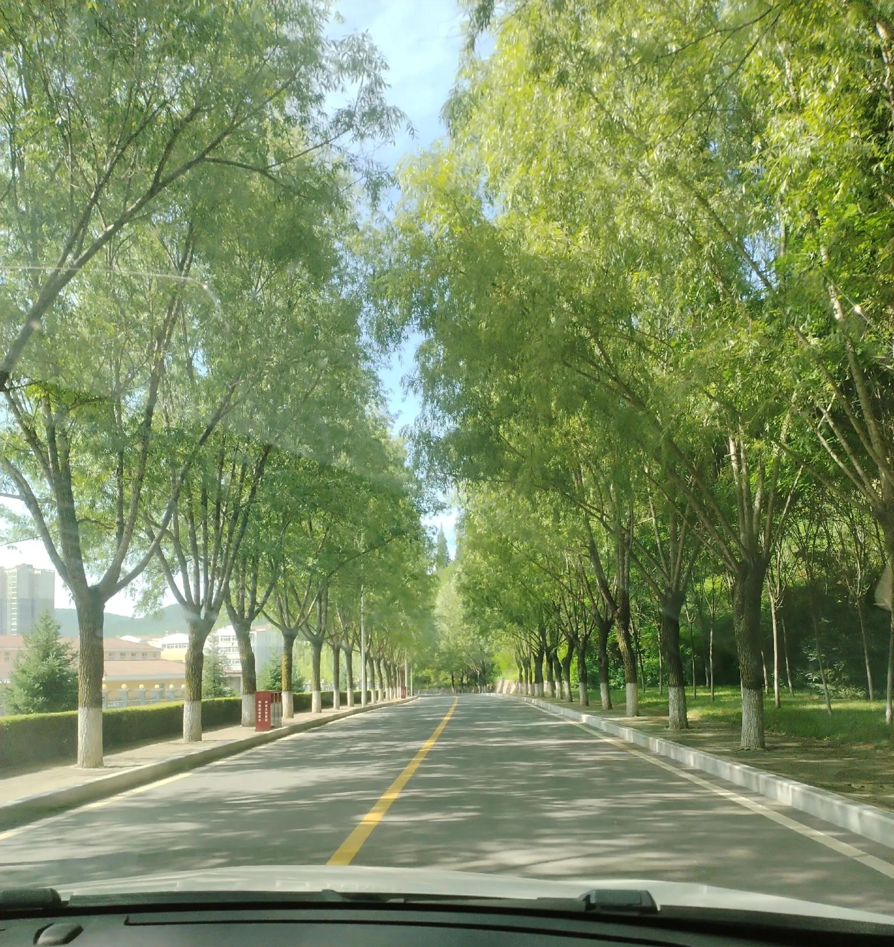 世上最美的风景不及回家的路,最美的风景都不及回家的路说说