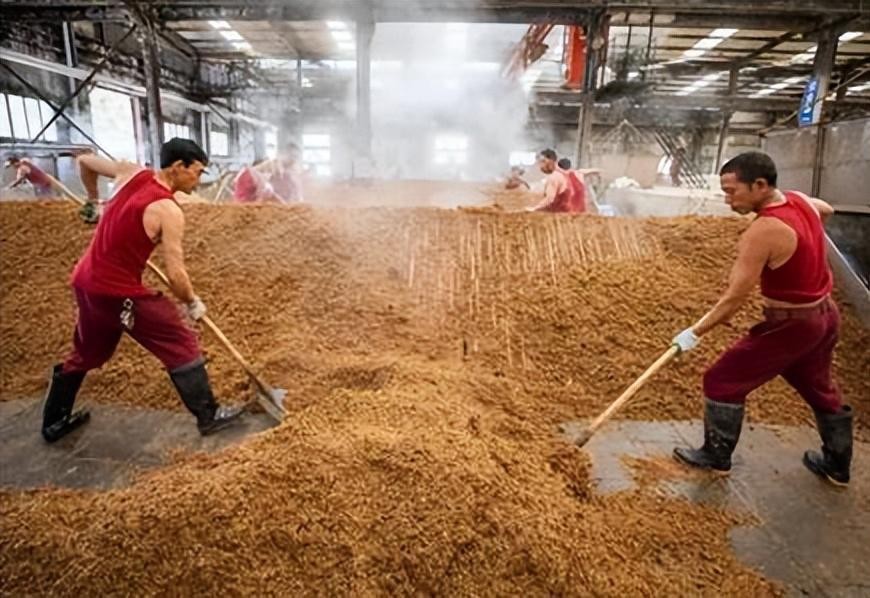 鑰佸勾浜哄枬閰掔殑鍏ぇ寰佸厗,鑰佸勾浜哄枬閰掓敞鎰忚繖鍑犵偣