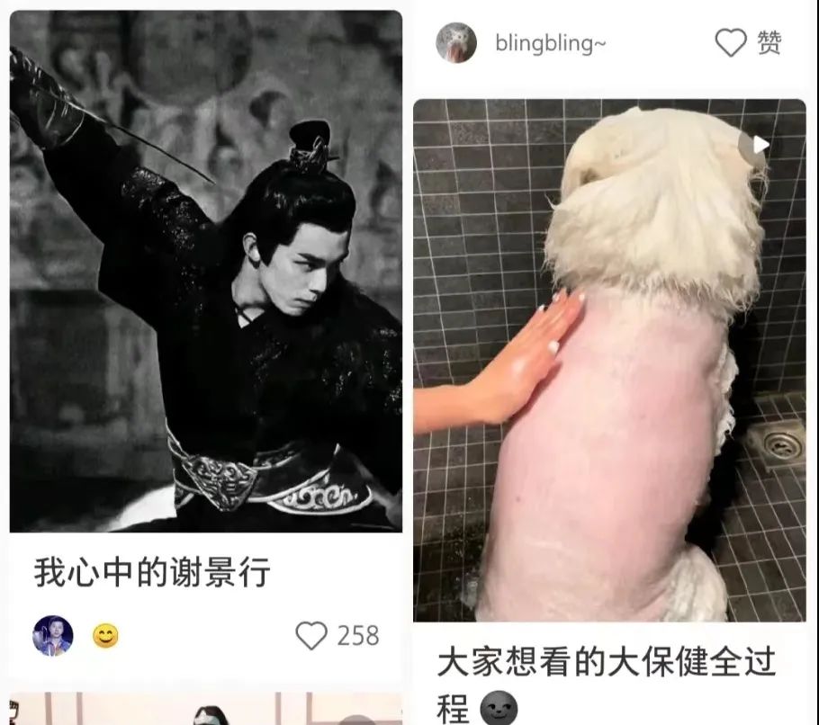 何老师抱狗撒尿，三石弟弟跳舞洗狗…这些破图我看一次笑一次哈哈