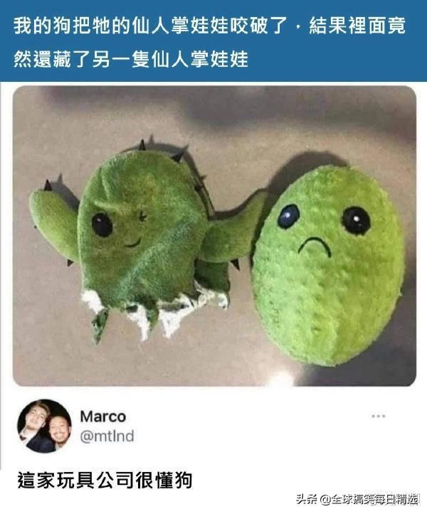 神回复长相比较凶的人,神回复面相