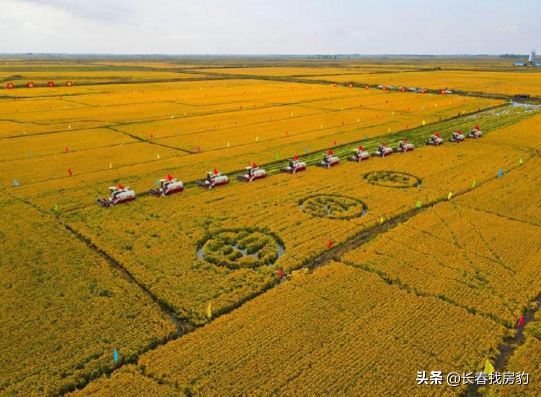 长春解封须知,长春解封条件是什么