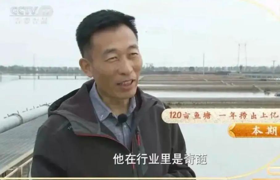 水库养鱼一年收入1000万,30亩养鱼塘一年收入