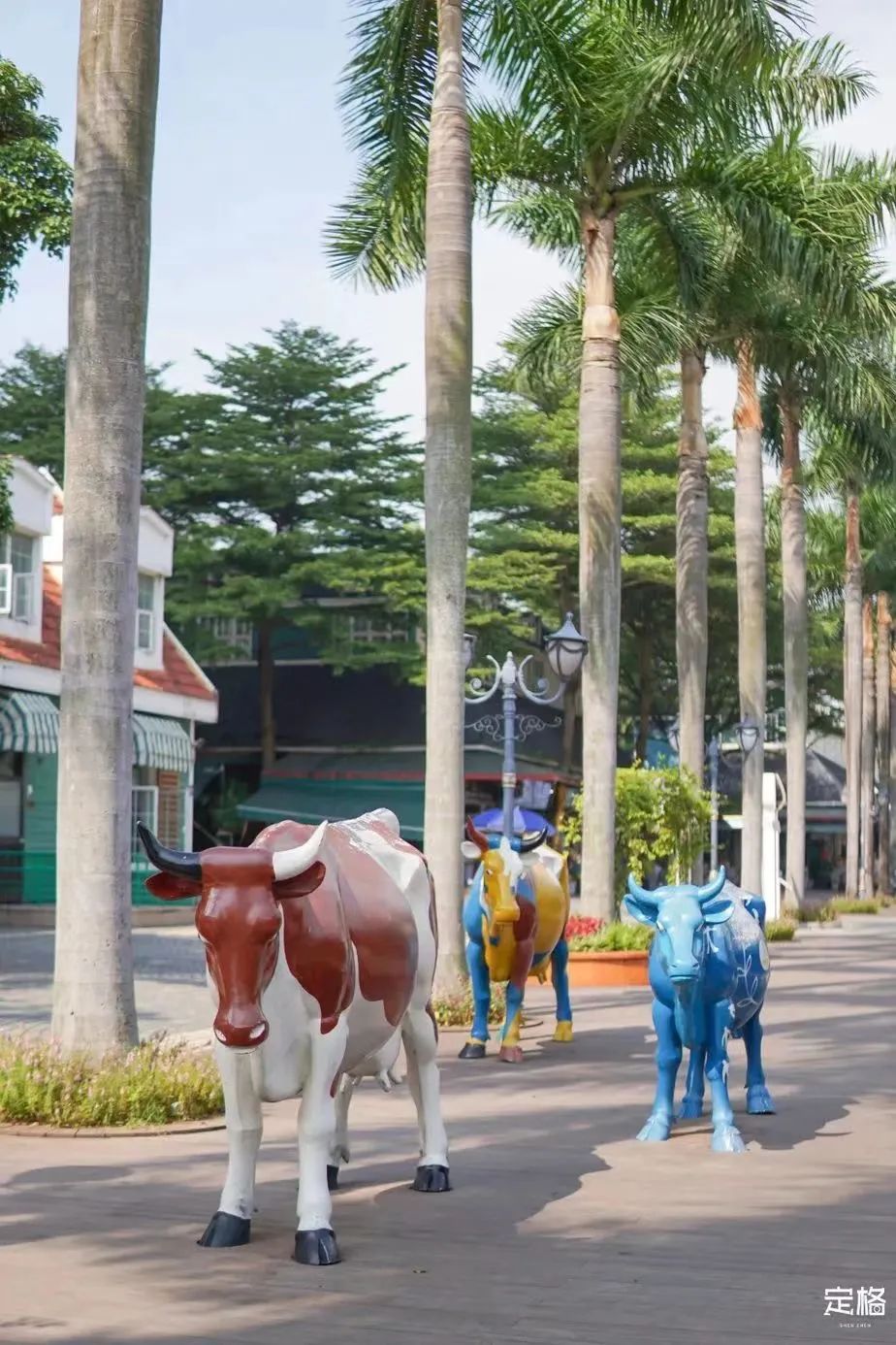 不用出国在深圳看到的美景,深圳有什么景点去看的不要钱的