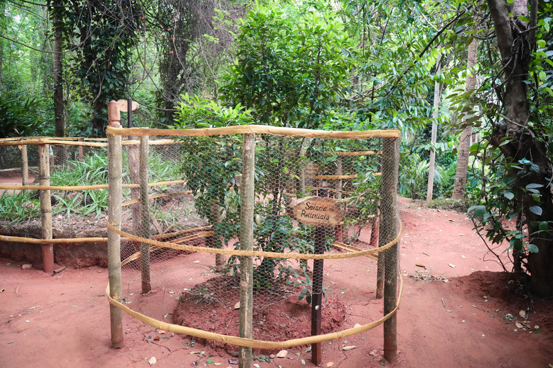 斯里兰卡旅游攻略必去景点,斯里兰卡最佳旅游攻略