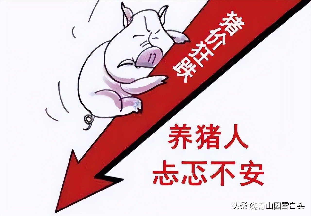 农村有潜力的种植项目有哪些,农村50亩地种植什么赚钱不愁销路