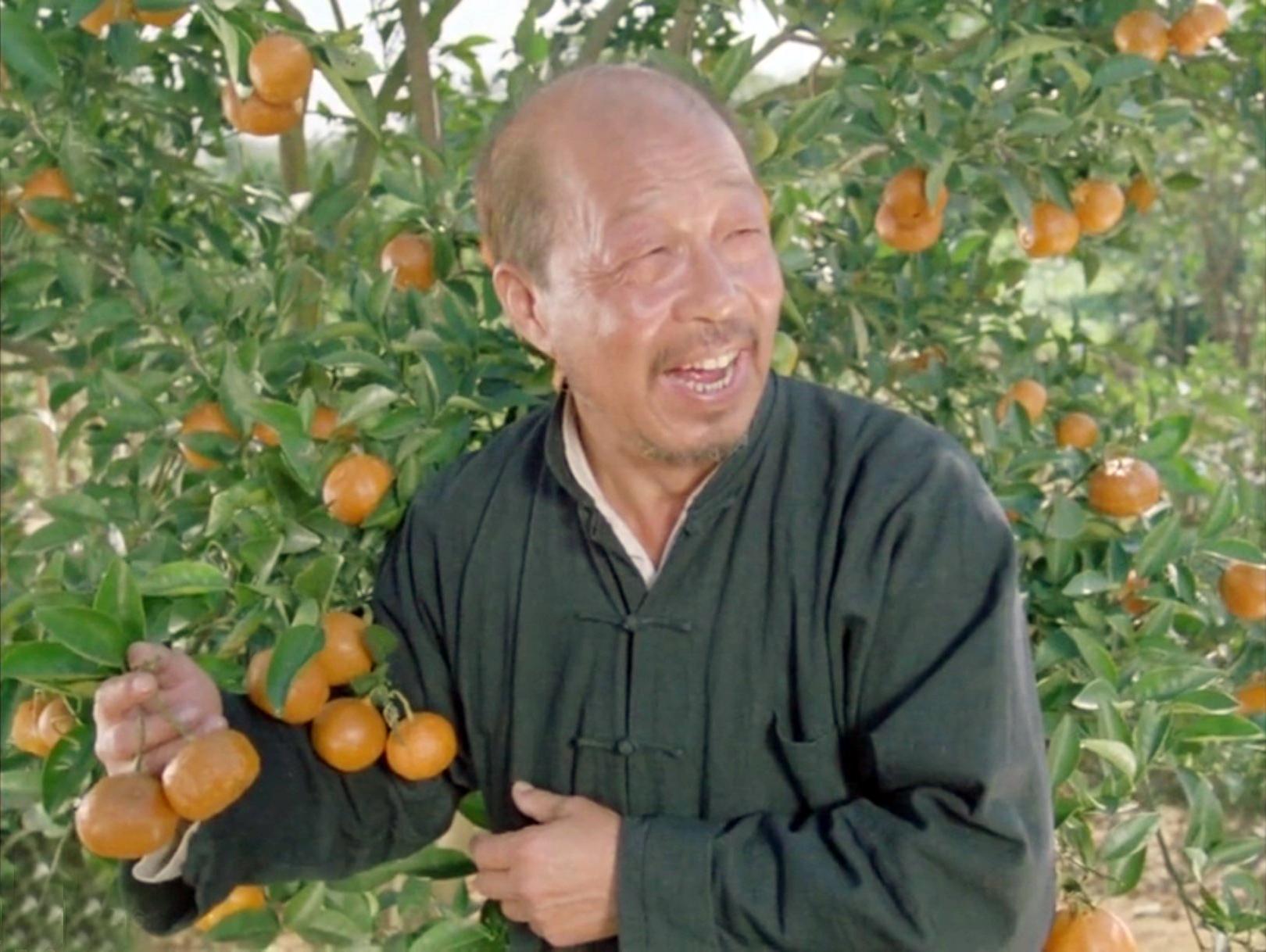 金鸡奖最好的演员,金鸡奖最佳演员奖