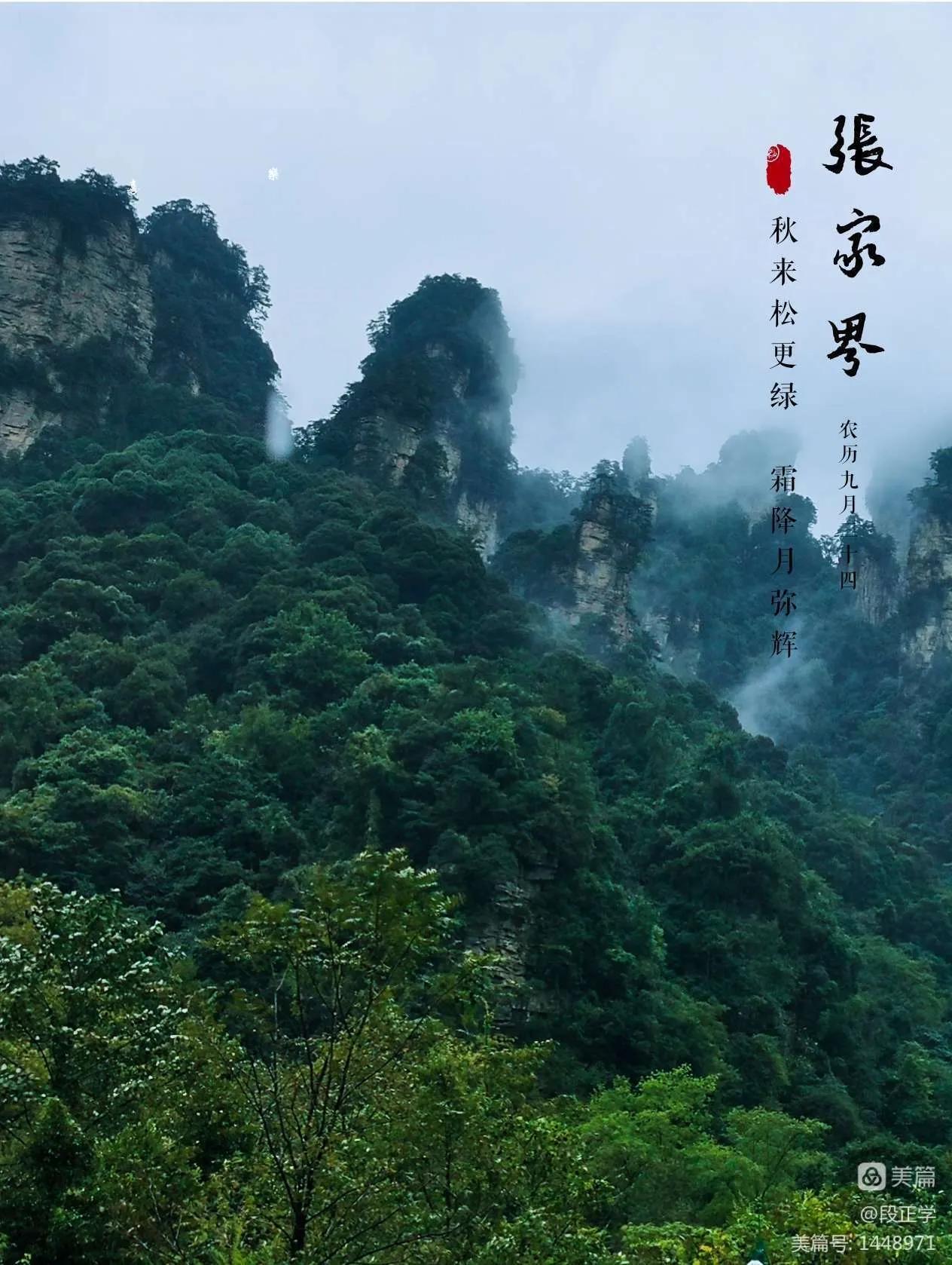 仙境张家界惊艳全世界,张家界的峰林峡谷仙境