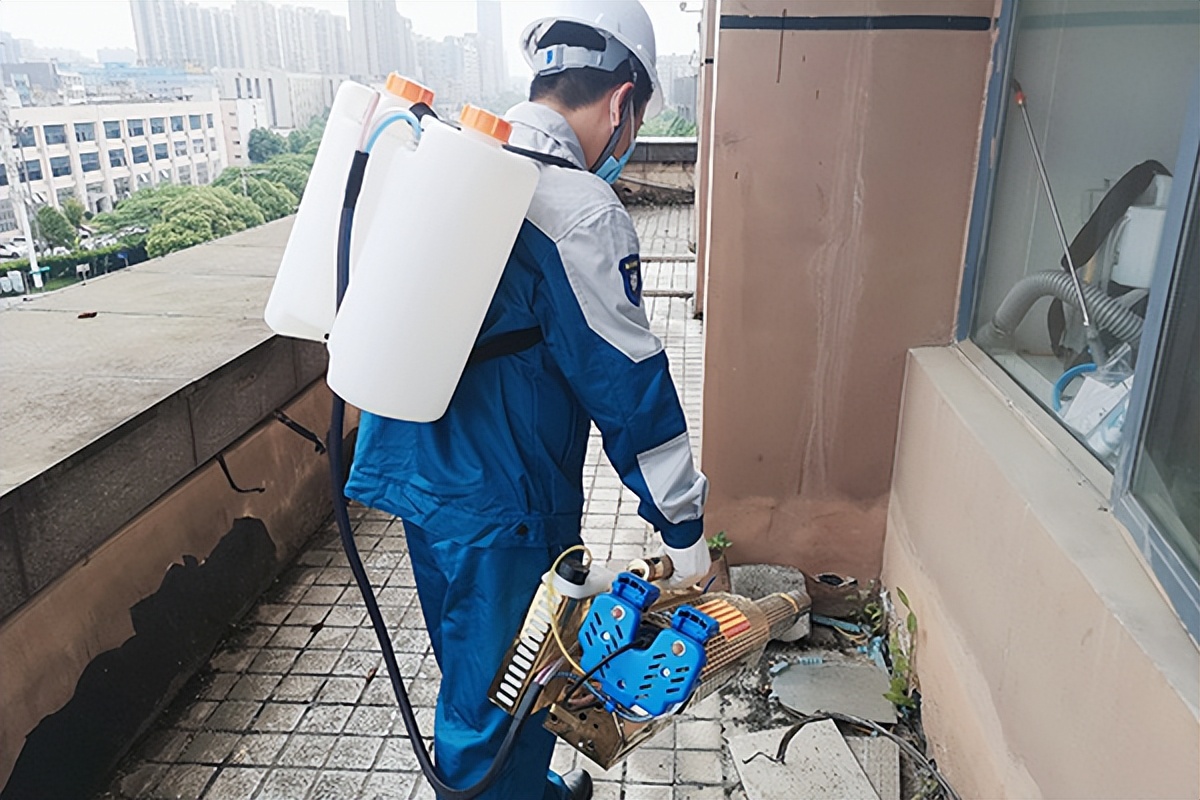 灭鼠公司防治老鼠采取的有效措施,灭鼠的质量技术标准