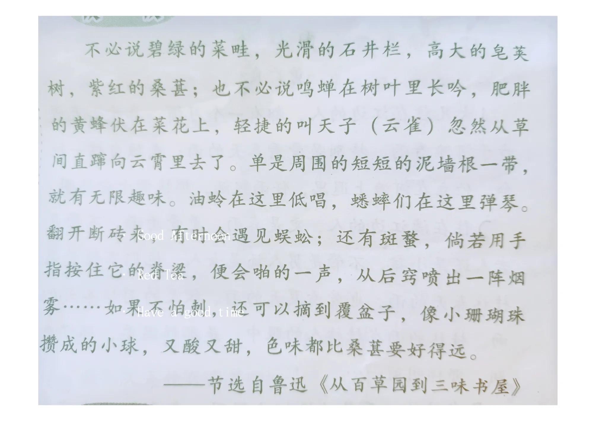 童年玩泥巴捉鱼,童年抓鱼摸虾玩泥巴的最高境界