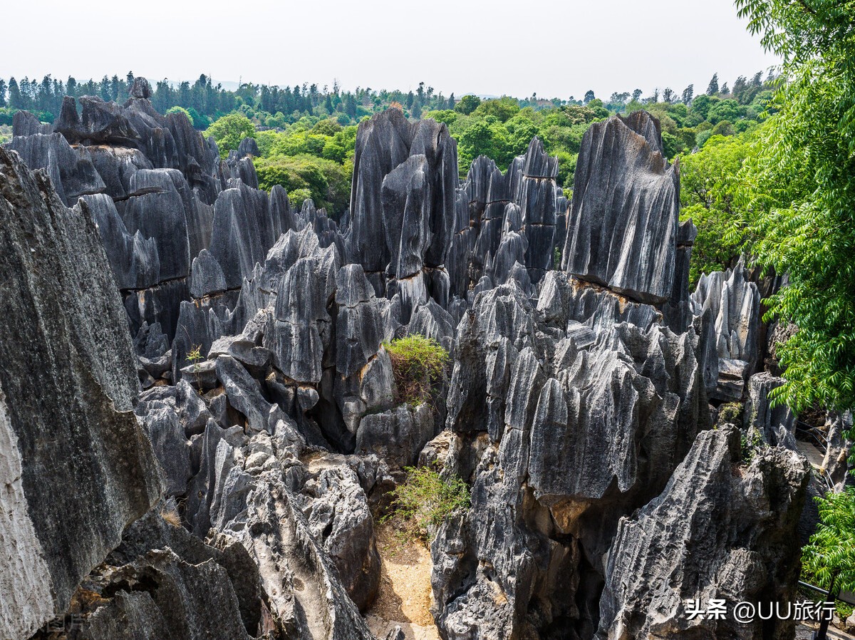 这才是云南最值得去的16个地方,云南最值得去的几个地方