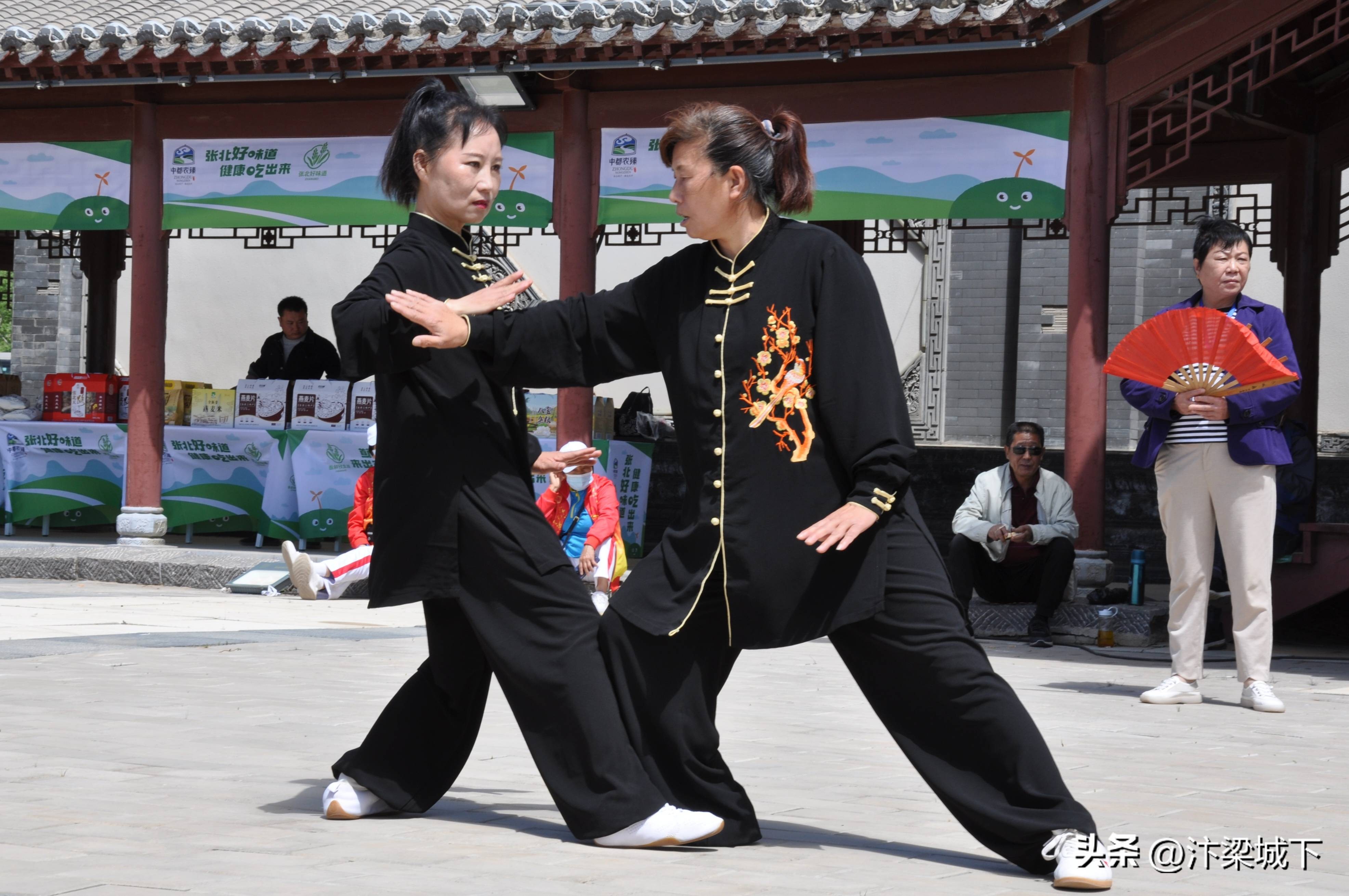 开封市武术协会代表队,开封武协表演团