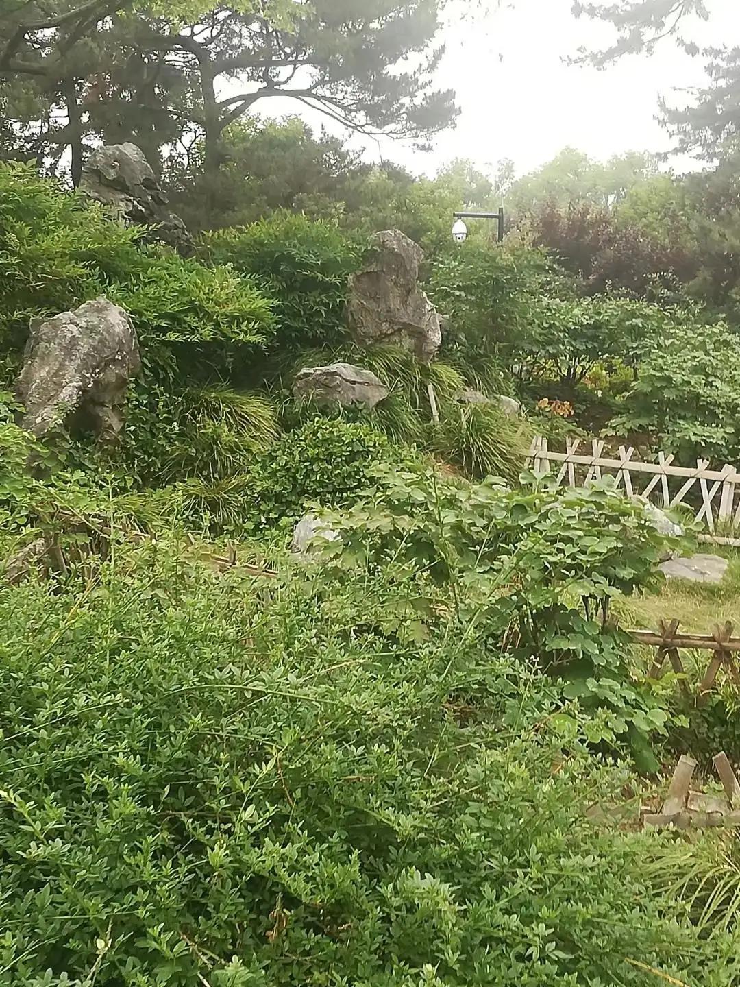 成都麻将馆天花板,成都麻将馆可以开业了吗