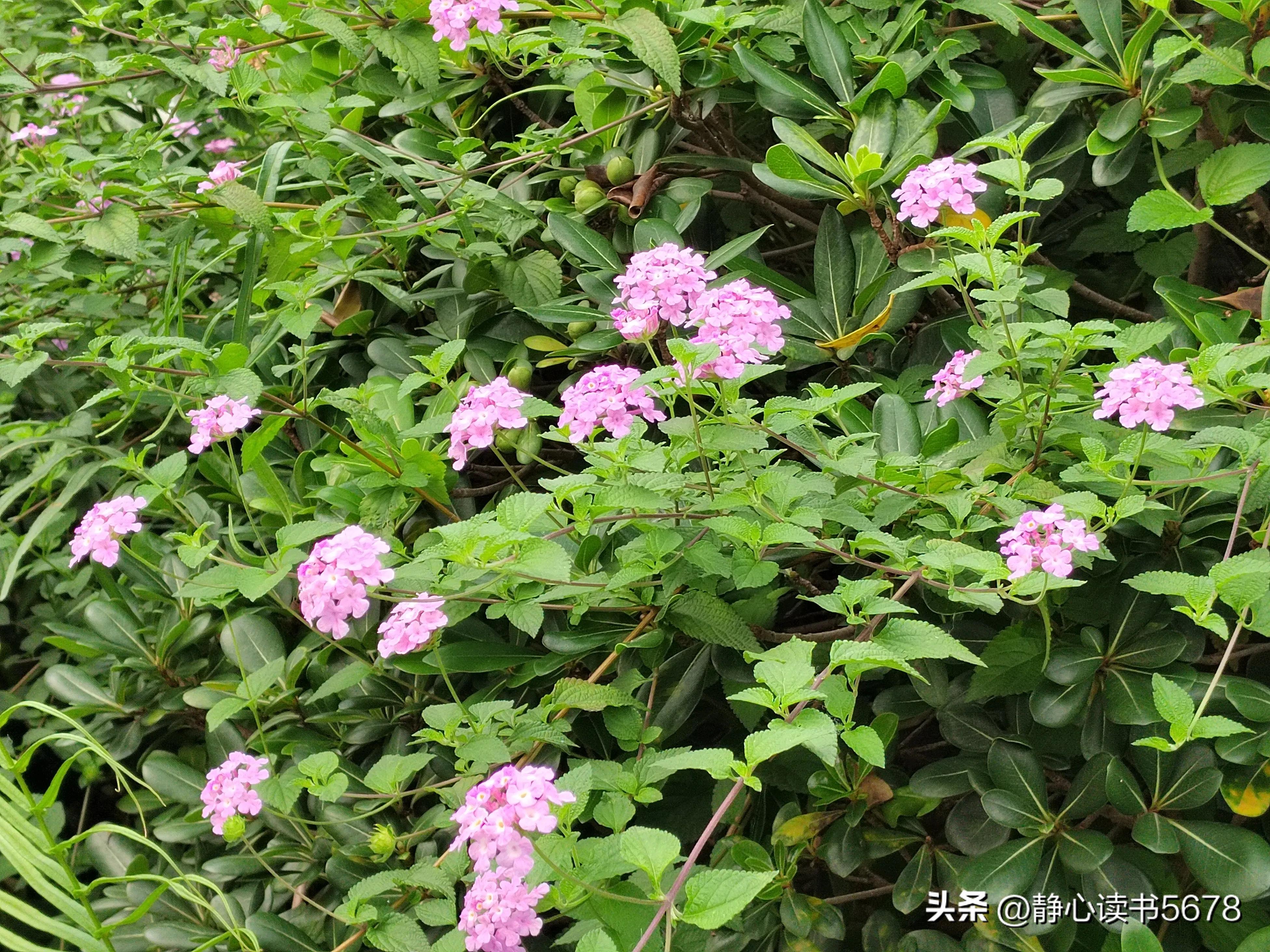 做一个好的生意经典语录,做生意最经典的一句话