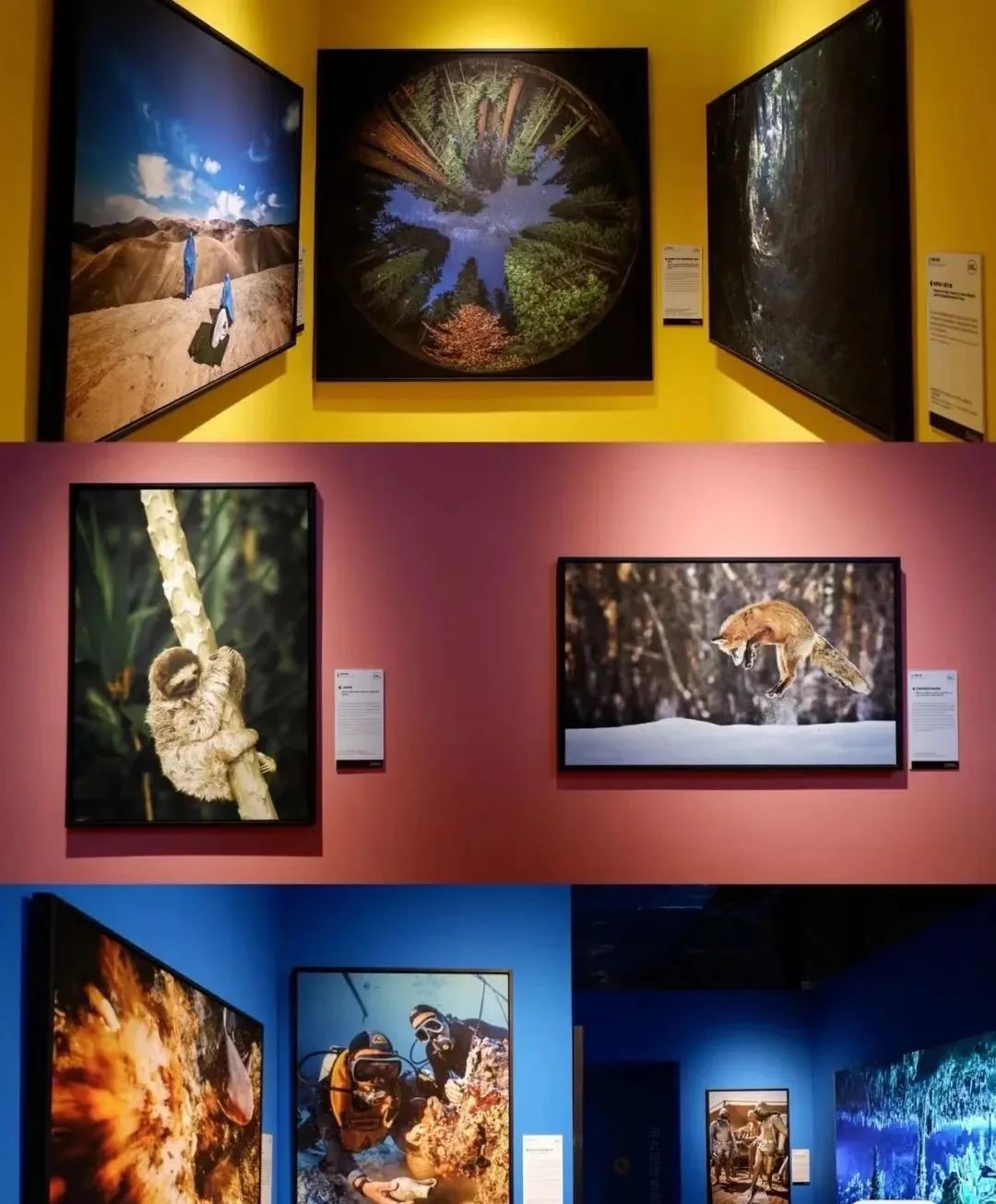 时光共鸣大城兑现|北辰·光谷里，产商融合正当燃