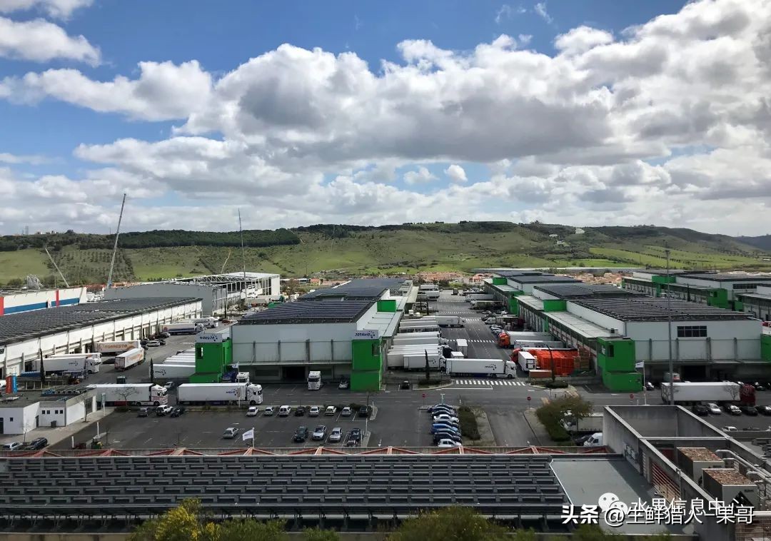 世界第一果蔬批发市场,中国十大果蔬批发市场