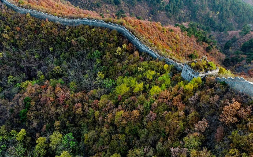 【中国式现代化秦皇岛场景】描绘百业兴旺共同富裕城乡融合环境优美的海港画卷——访海港区委书记张士兆