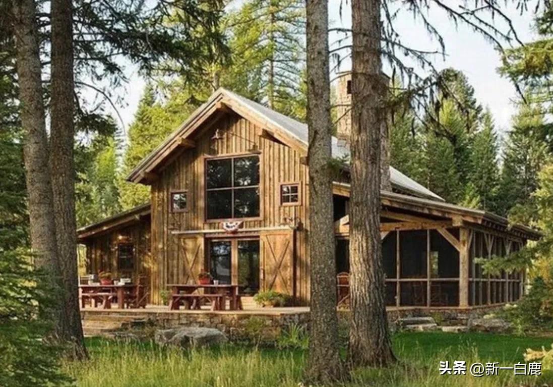 中国加入g7七国集团峰会,g7七国集团发展历史