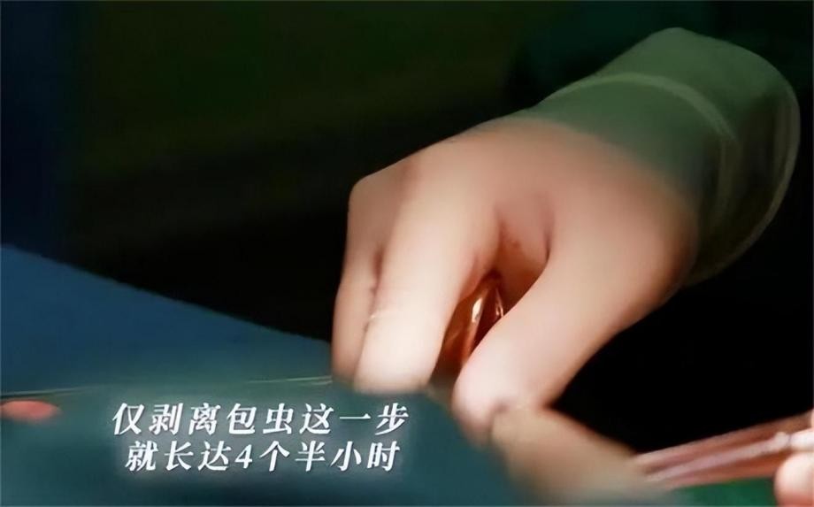 患虫癌的花季少女怎么样了,二十岁女孩患虫癌