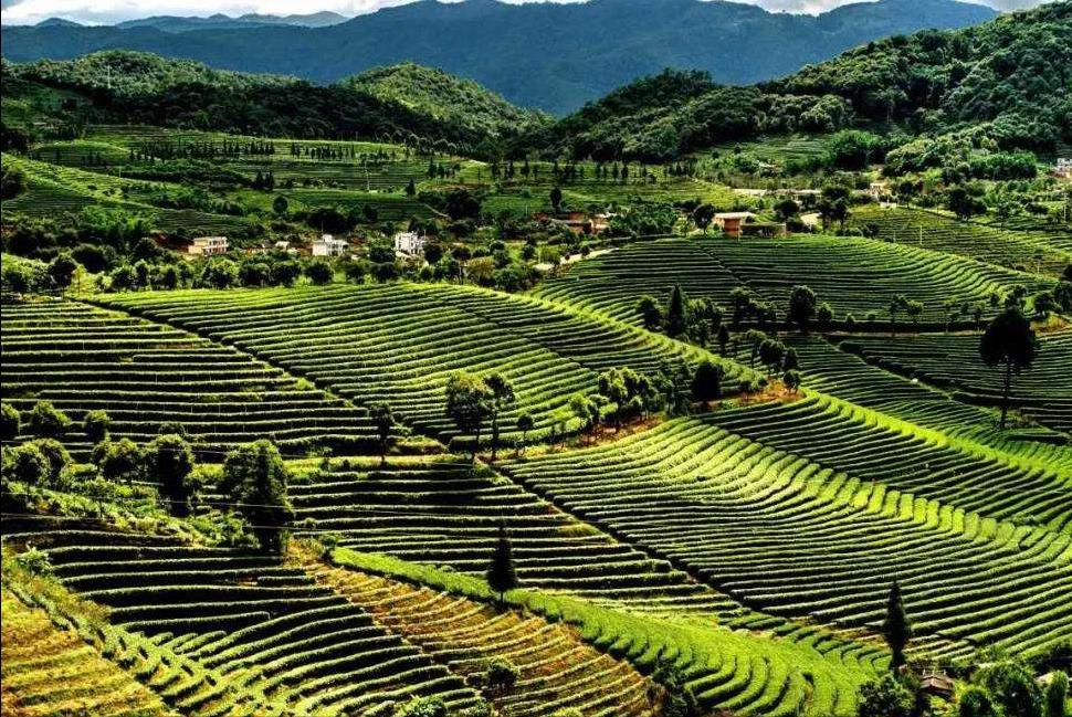 冬季避寒还是得去云南西双版纳,云南版纳哪些地方值得去