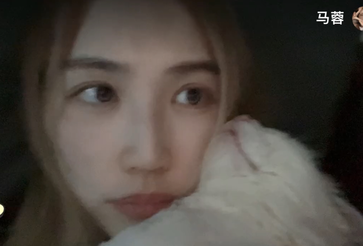 马蓉王宝强最近状况,马蓉和王宝强的近况