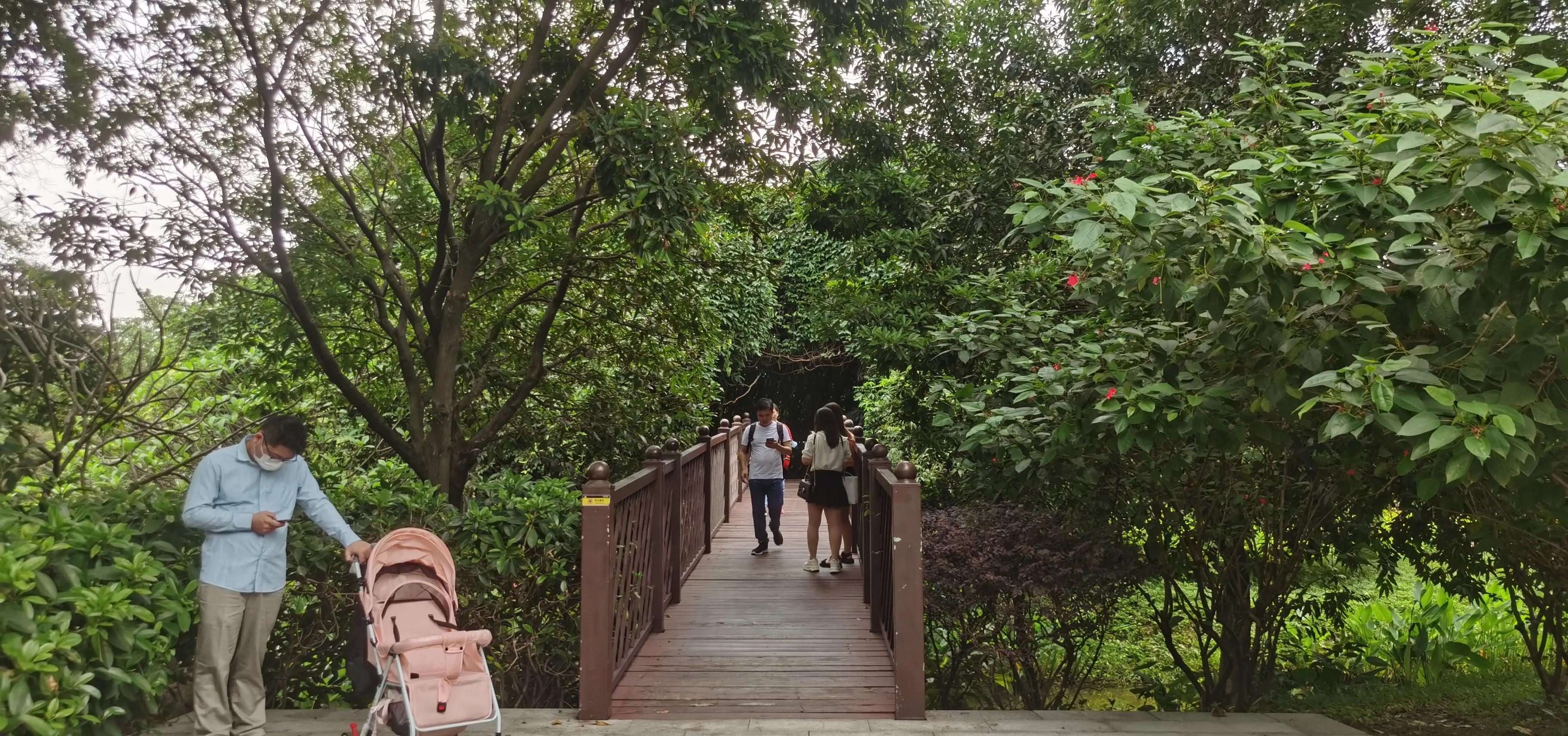 海珠湖湿地公园观鸟,海珠湖湿地公园地图