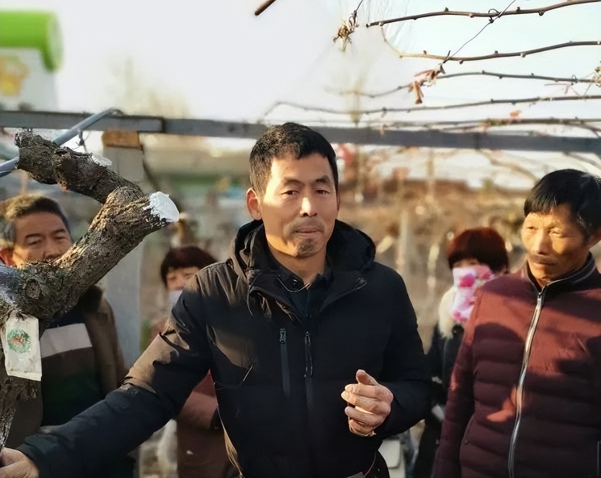 新西兰猕猴桃什么时候上市,新西兰的猕猴桃有哪些