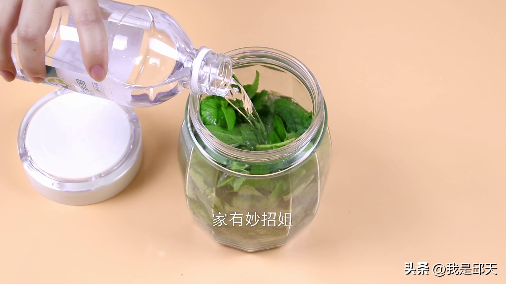 教你一招蚊子全都灭光光,家里蚊子特别多有什么好办法灭杀