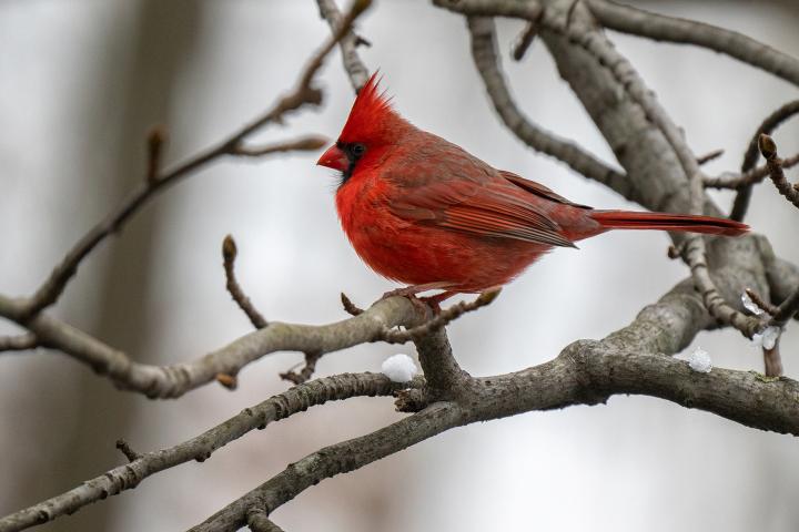 腾龙85mm定焦镜头副厂推荐,18-200腾龙镜头和原厂镜头对比
